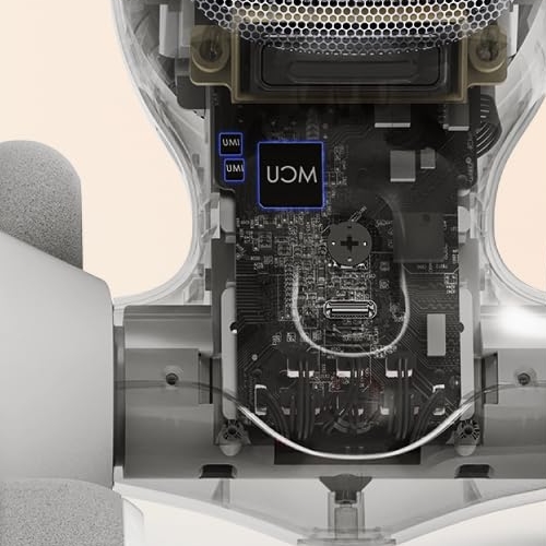 Coordination & Movement