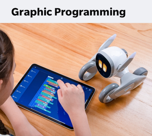 Educational Learning