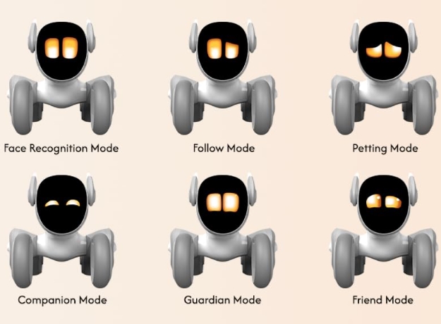 Expressive Personality